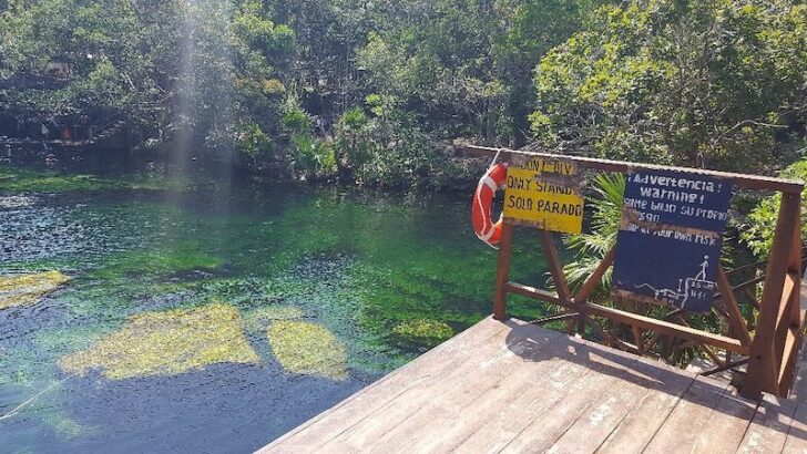 Cenote Jardin Del Eden Ponderosa A Full Guide