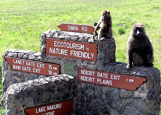 Ecotourism sign and monkeys