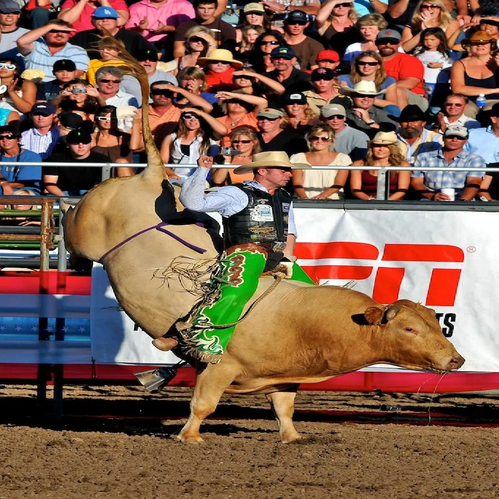 A man bull riding and spectators in the back 