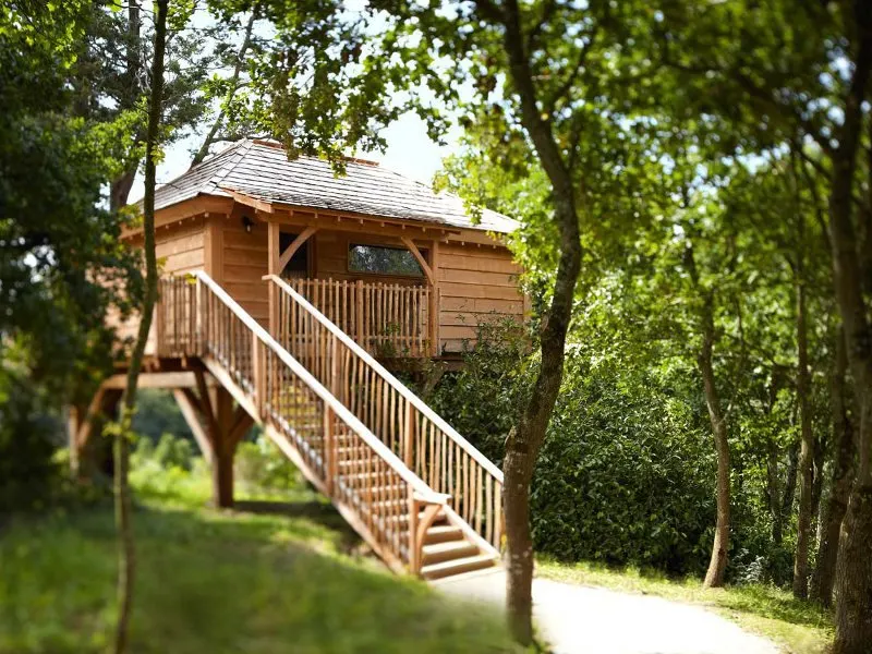 treehouse la gree des landes yves rocher hotel