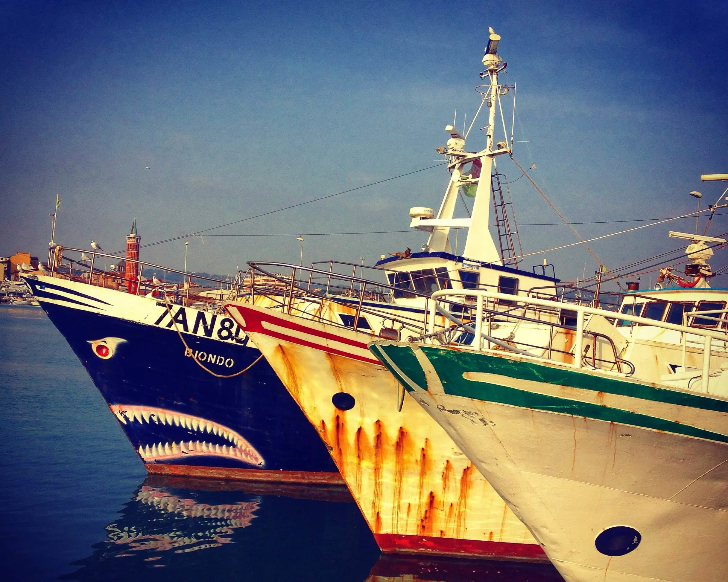 boats_civitanova marche_harbour