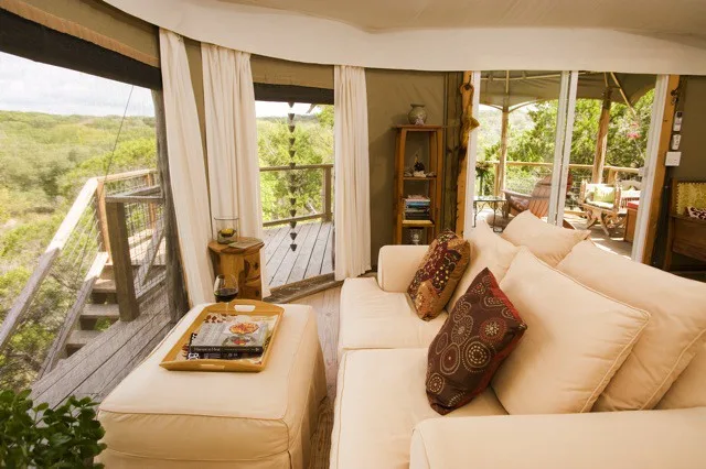 the interior of a living room with views of dense vegetation from the windows