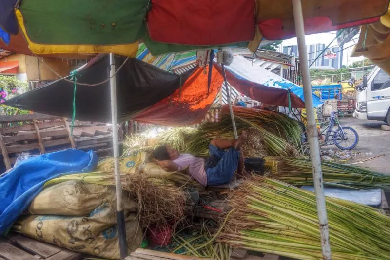 A Philippine woman resting in a market surrounded by bamboo sticks