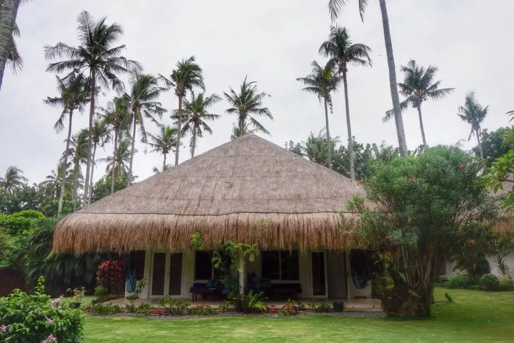 A thatch-roofed cabin surrounded by greenery, and palm trees in the background