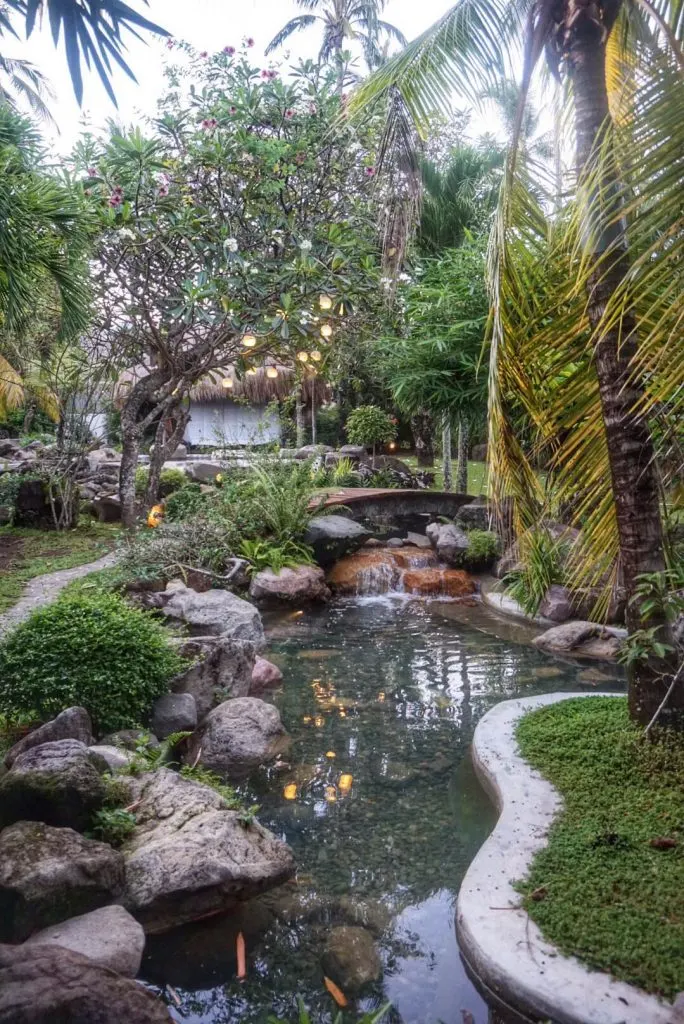 A small natural pond surrounded by rocks and vegetation