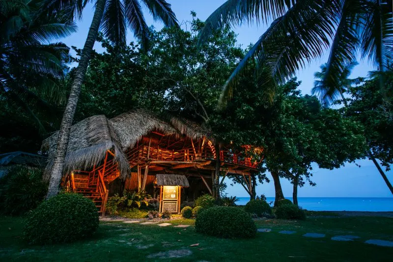 A tree house surrounded by trees, with the dark blue skies of the evening in the background