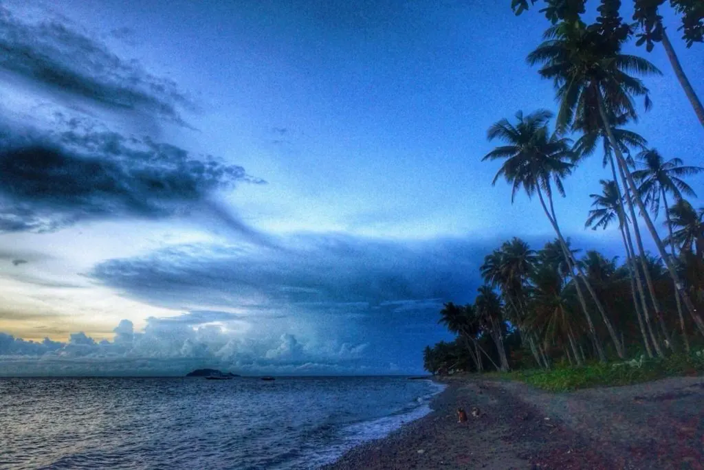 Image of a beach taken in the evening, with dark blue skies and palm trees