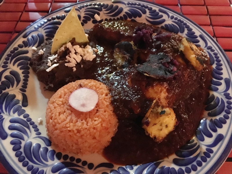 Mole Poblano in a blue and white plate