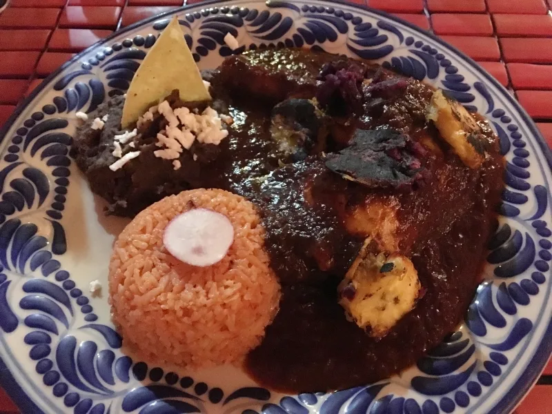 Mole Poblano in a blue and white plate