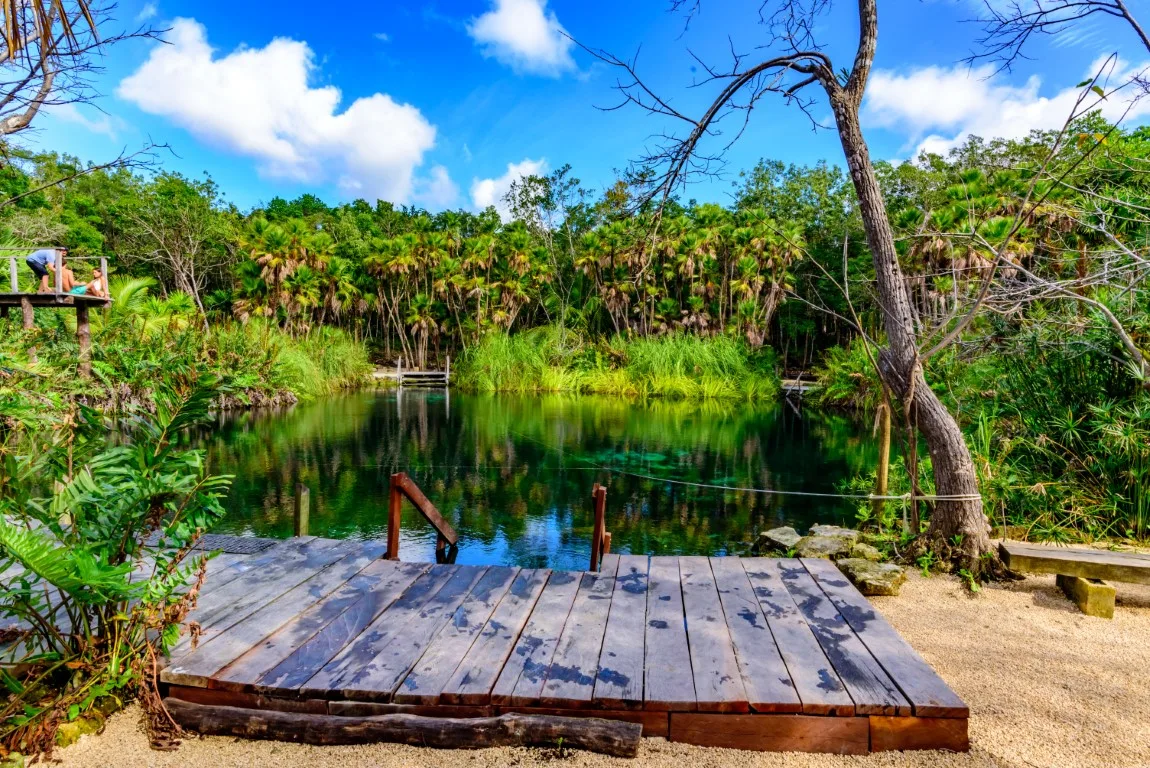 Cenote Cristal, with a wooden platform at the forefront of the image, and lush vegetation on the other side of the pond-like sinkhole