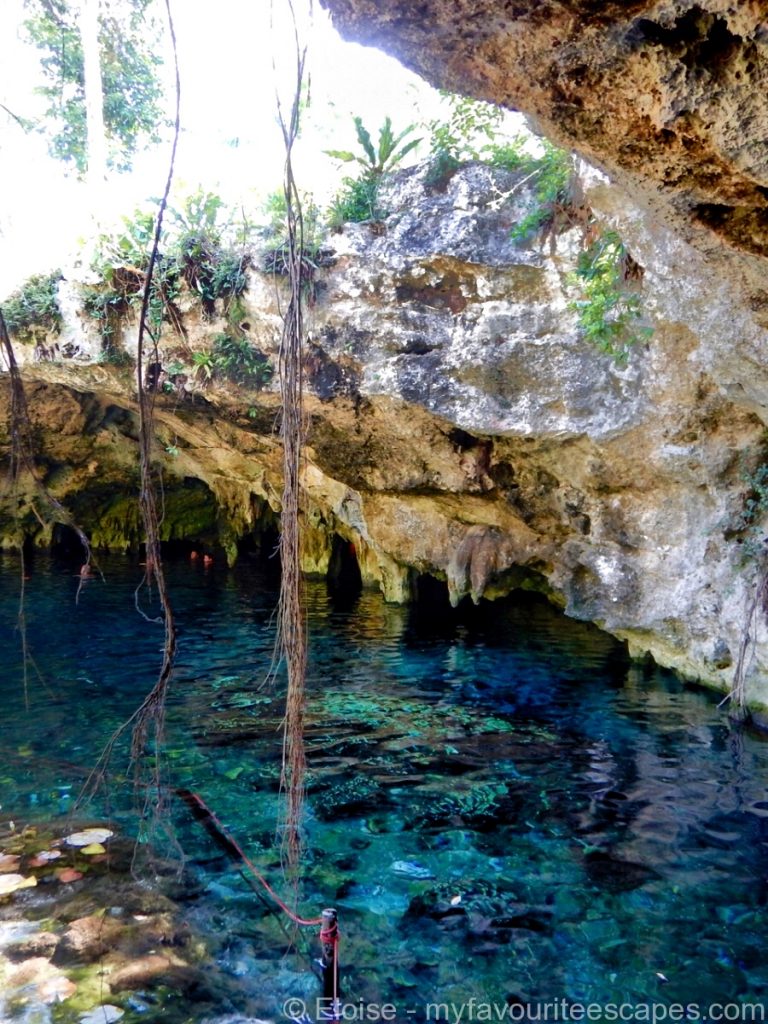 Visit Gran Cenote, Tulum - A Complete Guide [2024]