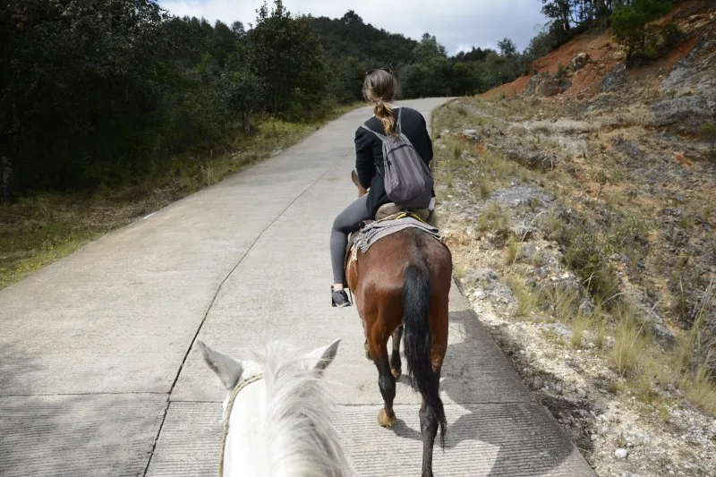 Image of a woman riding a brown horse