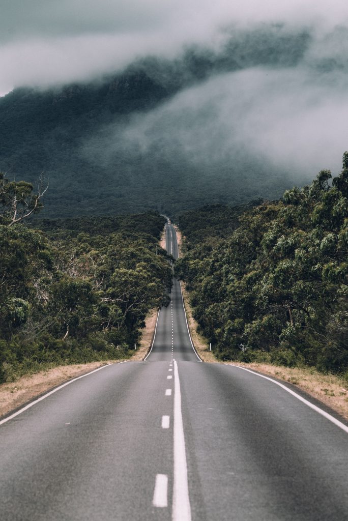 A long empty paved road lined by lush vegetation