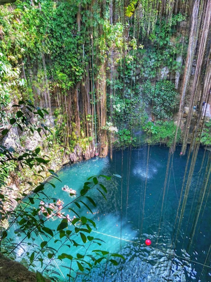 13 Incredible Cenotes Near Valladolid