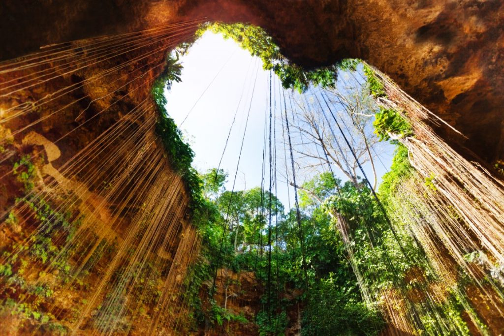 The opening of a cenote seen from below, with a clear sky and the rock wallks of the sinkhole