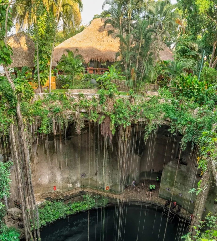 The entrance to a cenote located a few feet below the ground, with lush vegetation above it