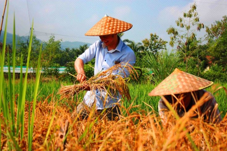 11 Unmissable Things To Do in Vientiane, Laos