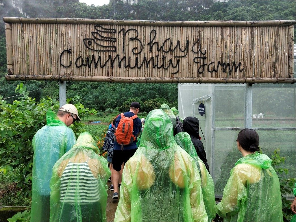 People wearing green ponchos entering the Bhaya Community Farm