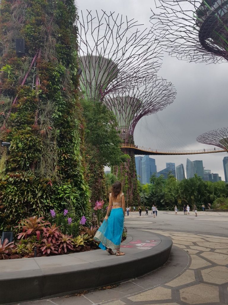 singapore tourist pass 2 days