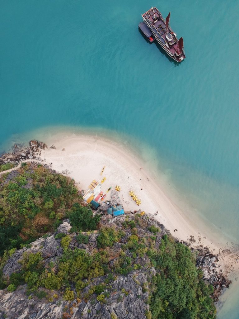 An overhead shot of a cruise in the sea, and a white sand beach fringed by vegetation