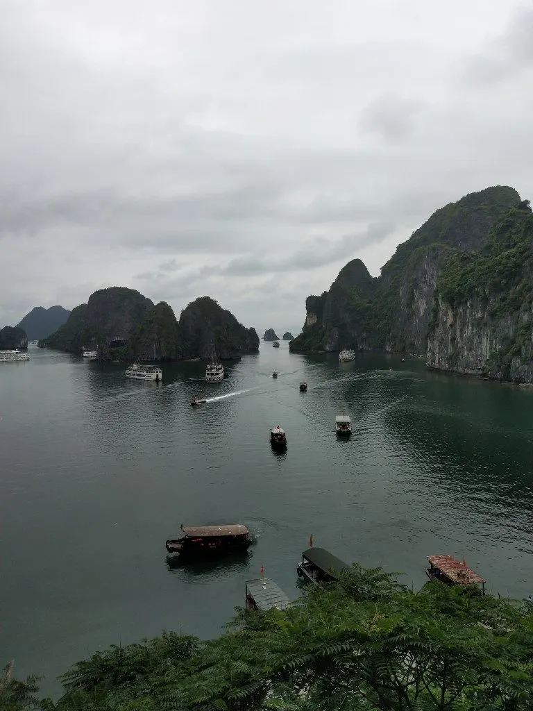 Image of Halong Bay from a viewpoint, with boats and cruises on the water