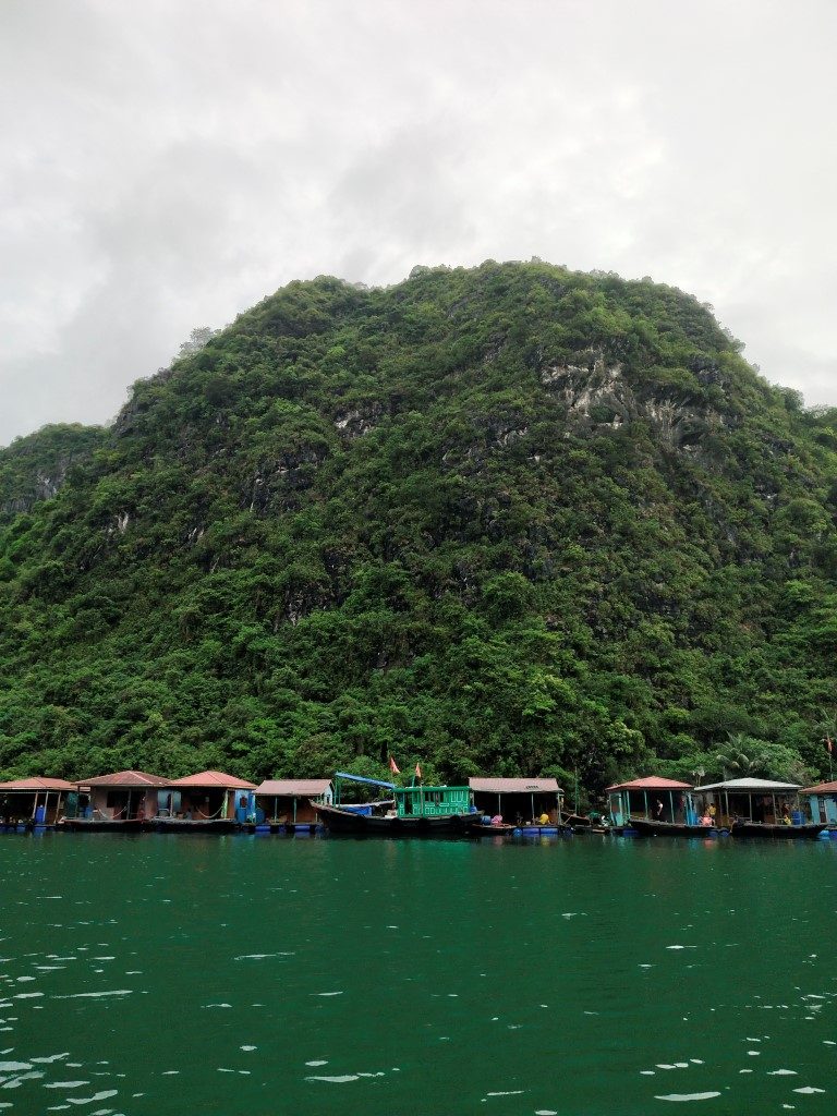 A large karst covered in vegetation, and boat houses in front of it 