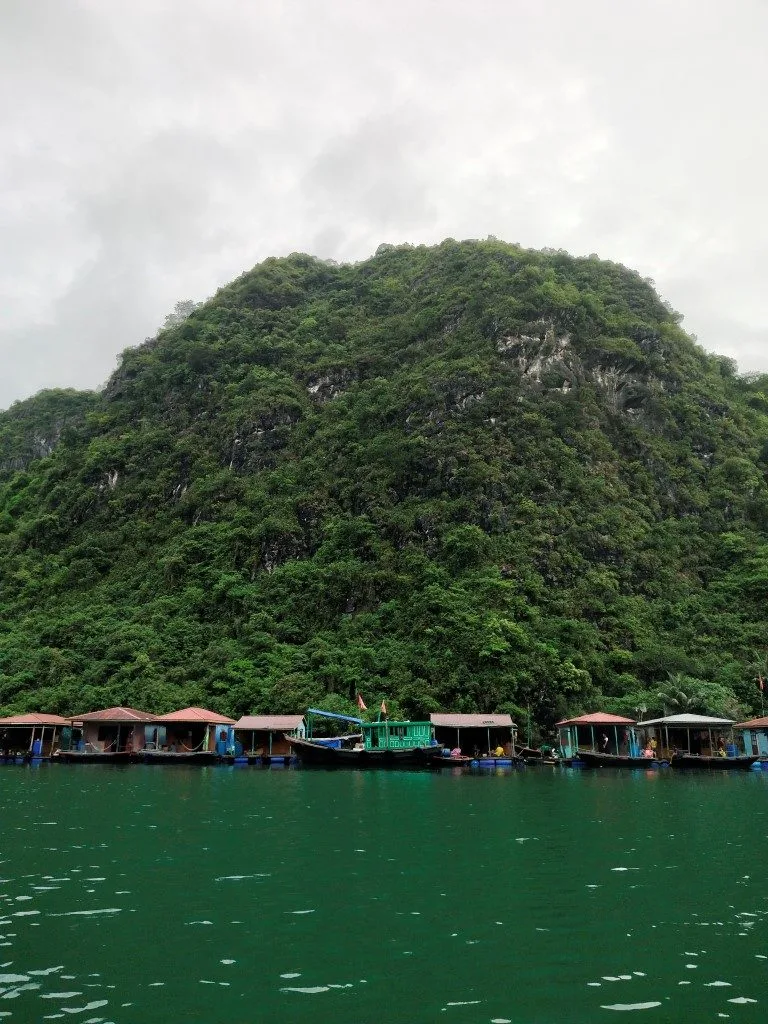 A large karst covered in vegetation, and boat houses in front of it 