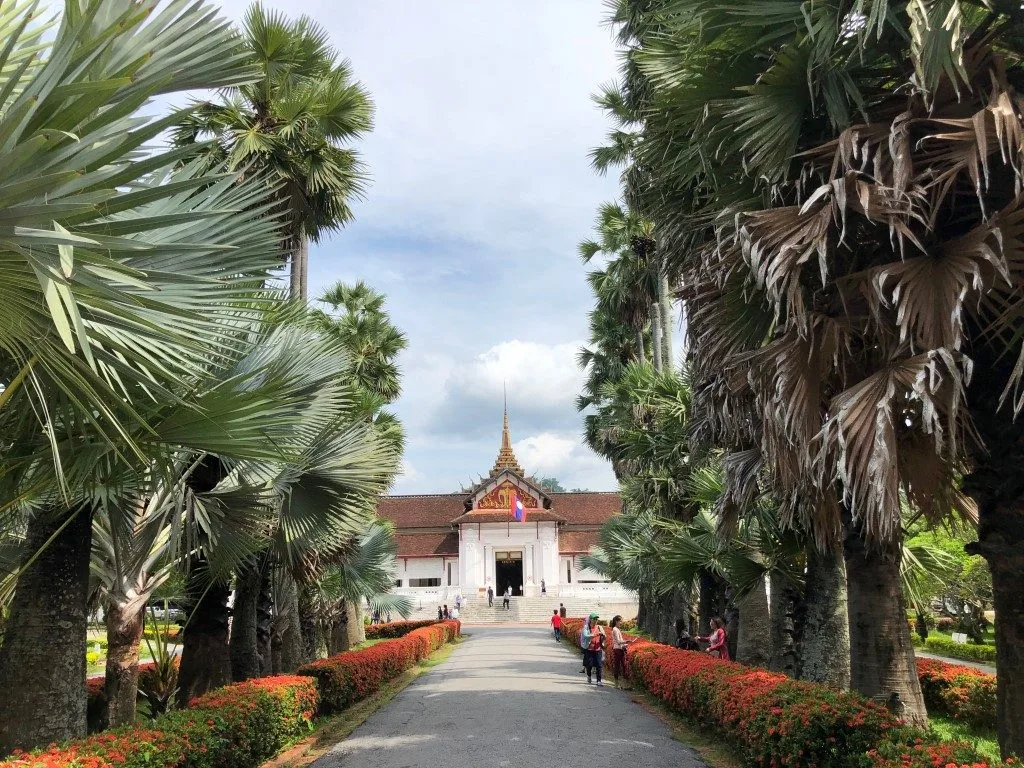 A long walkway lined by palm trees that leads to a temple