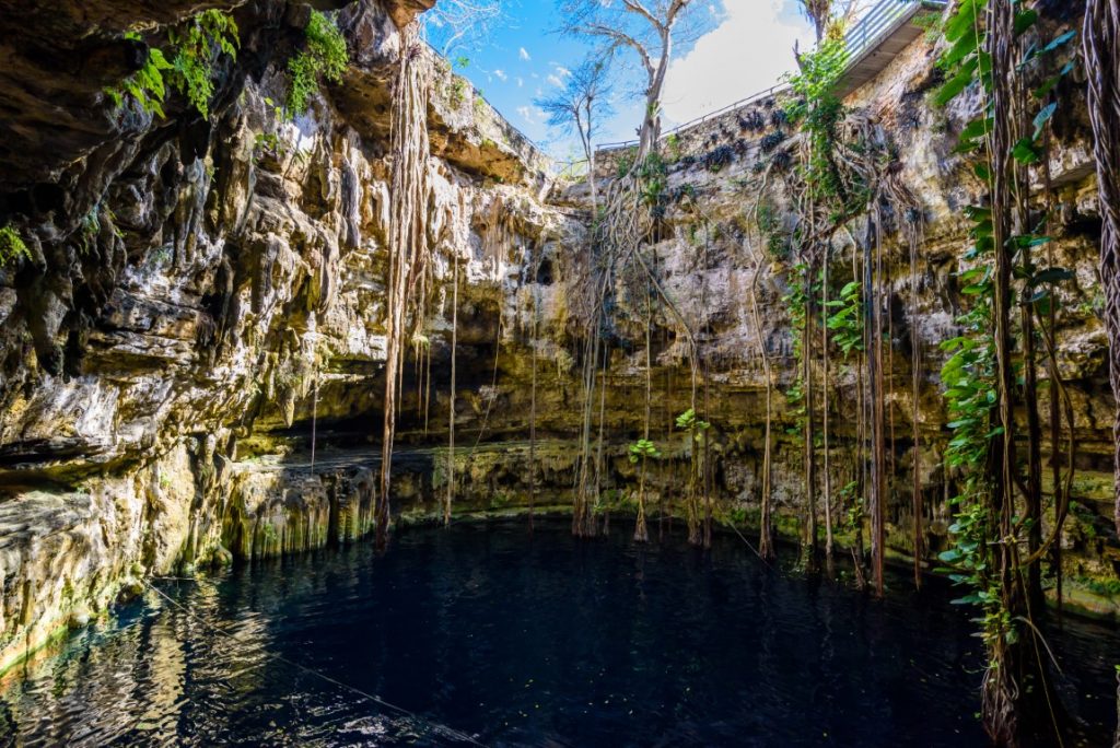 Oxman Cenote and the ancient tree roots growing out of it.