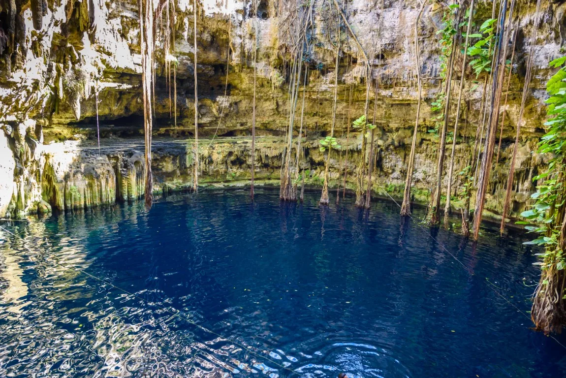 Inside Cenote Oxman, surrounded by tall rock walls and some vegetation