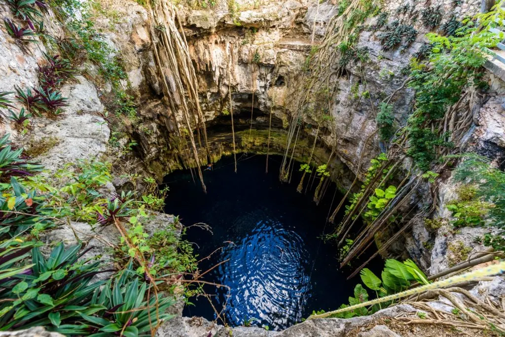 Cenote Oxman from the top.