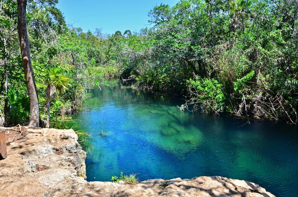 Cenote Escondido, surrounded by vegetation