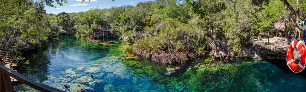 Drone photo of Cenote Jardin del Eden surrounded by vegetation