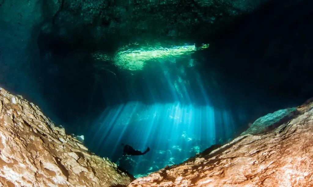 Image of scuba diver in Cenote Eden near Playa del Carmen, Mexico.