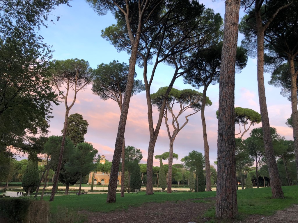 An image of the trees in Villa Borghese