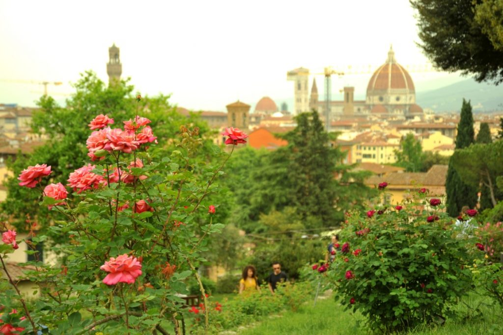 Rose bushes in a green garden, and a couple admiring them in the distance. In the background there's the Florence Cathedral 