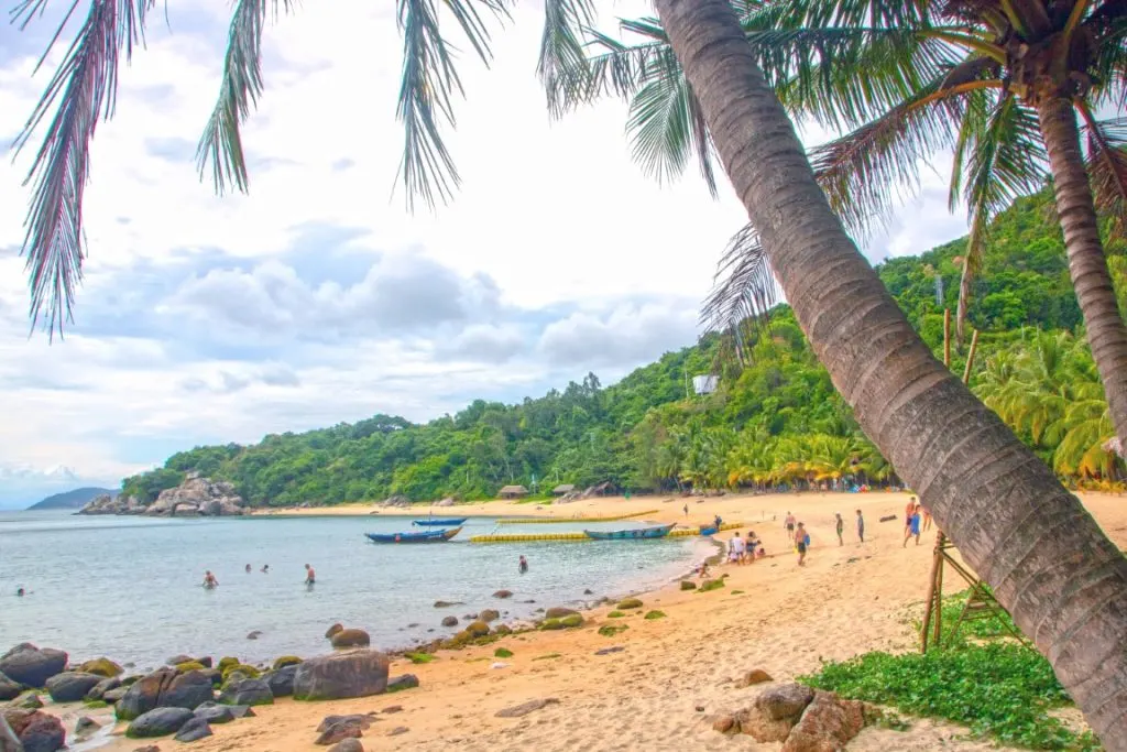 A beach with golden sand, backed by green palm trees