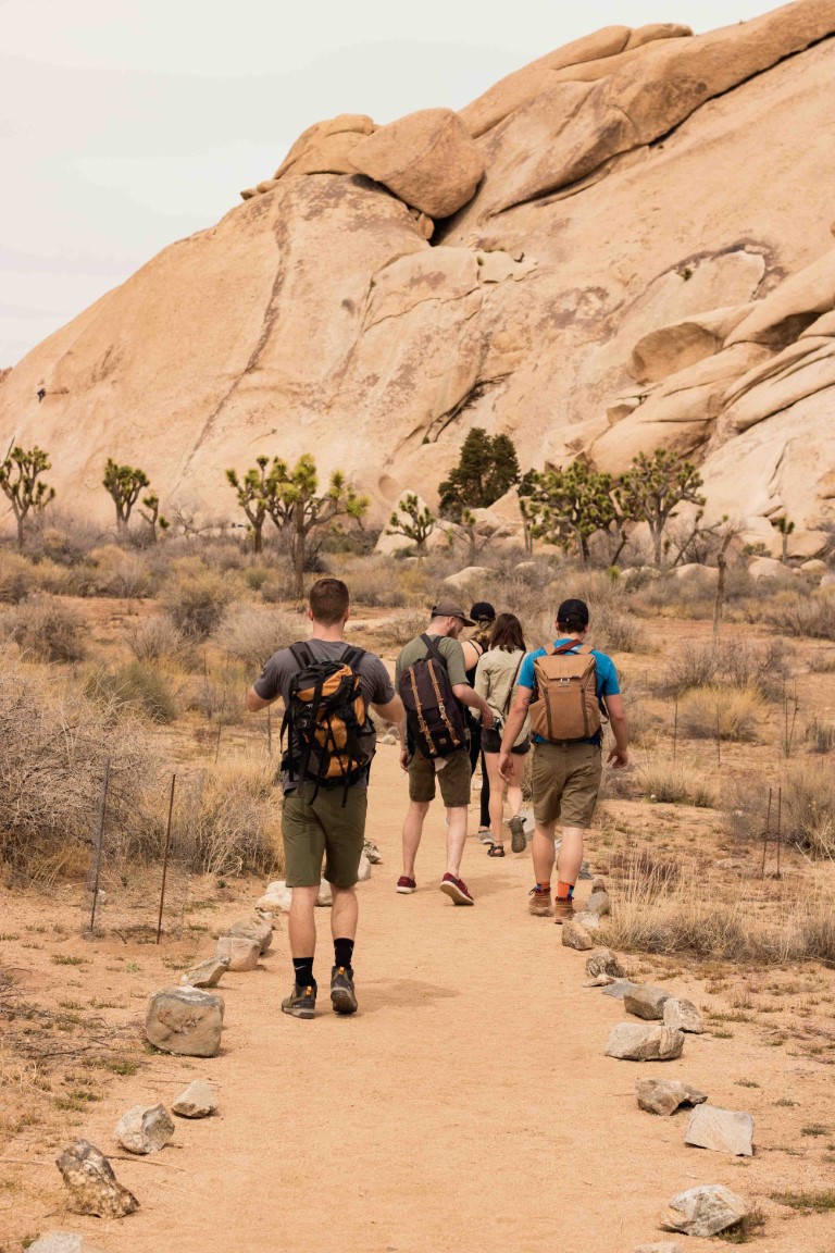 a group of people hiking along a trail in joshua tree national park 