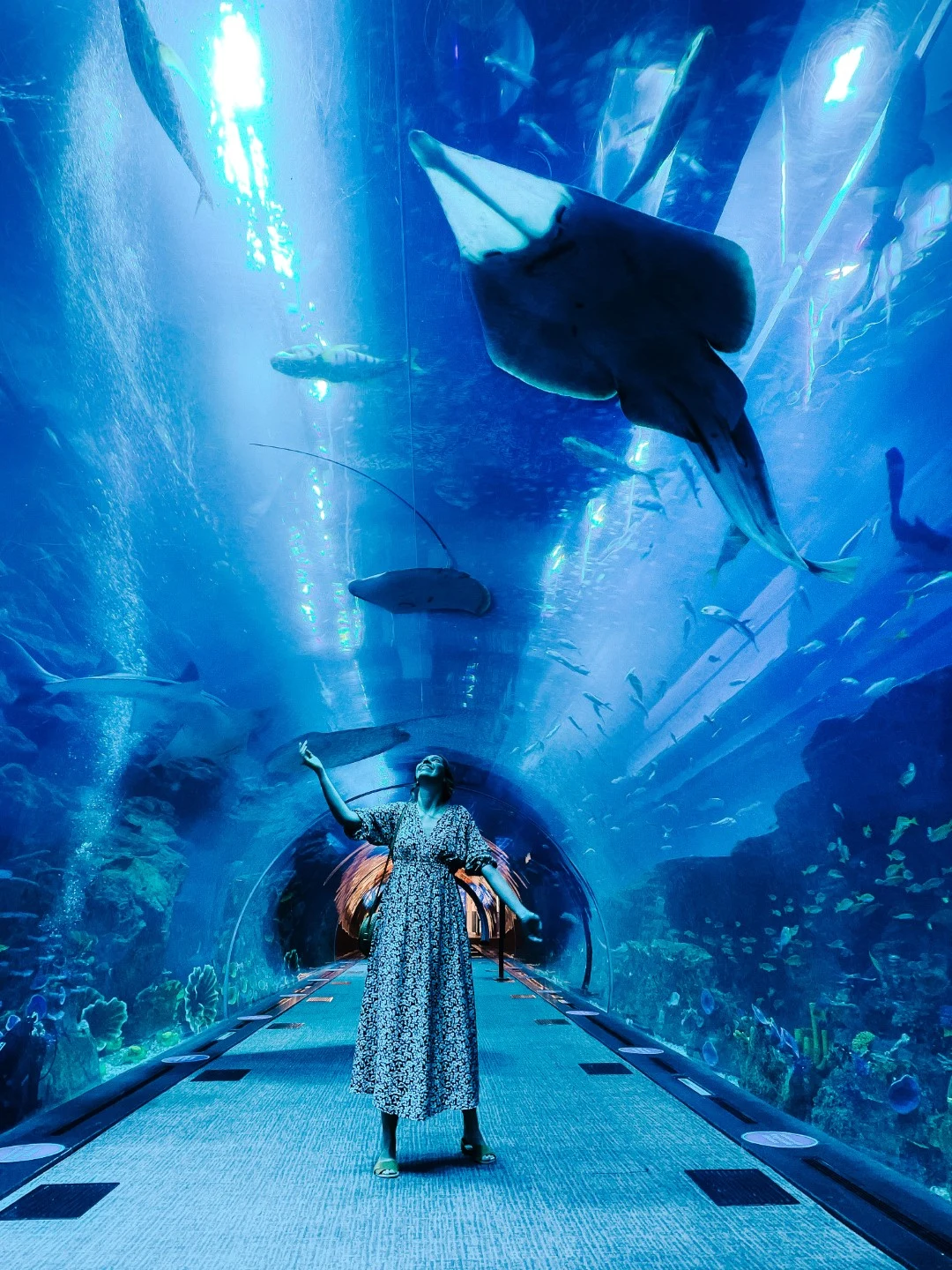 Dubai Underwater Slide