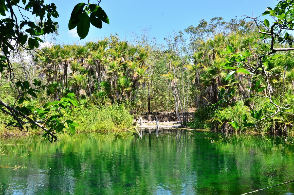 Cenote Cristal & Cenote Escondido, Tulum: Prices + Info [2024]