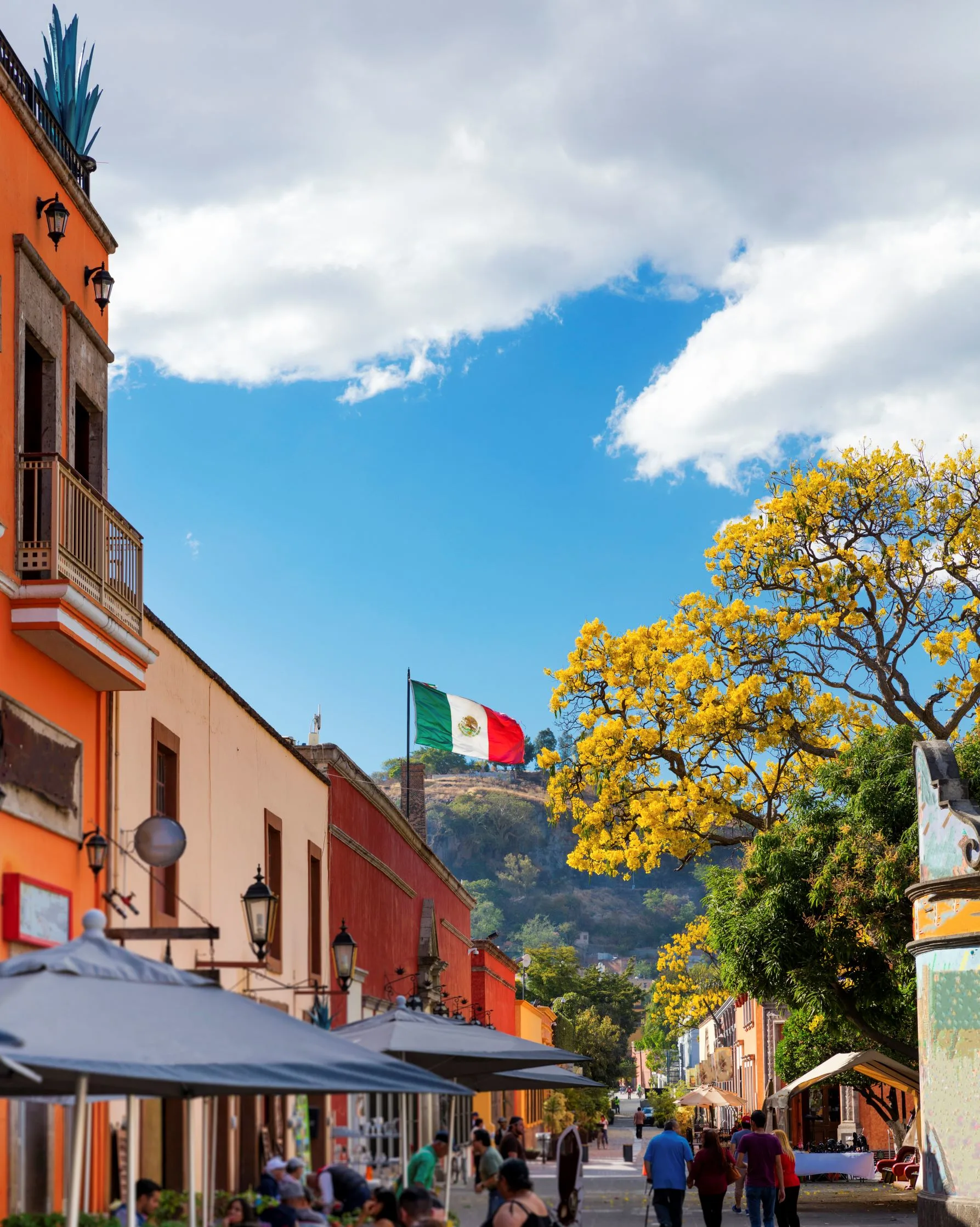 An image of the town of Tequila, with people walking along a street lined by lush trees and colorful buildings