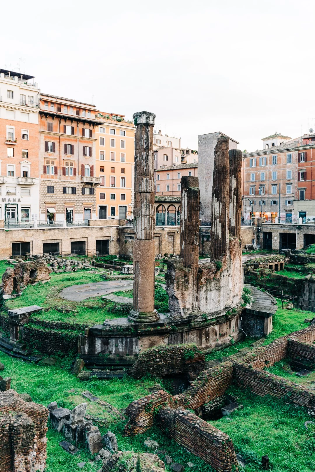 Image of the ruins at Torre Argentina