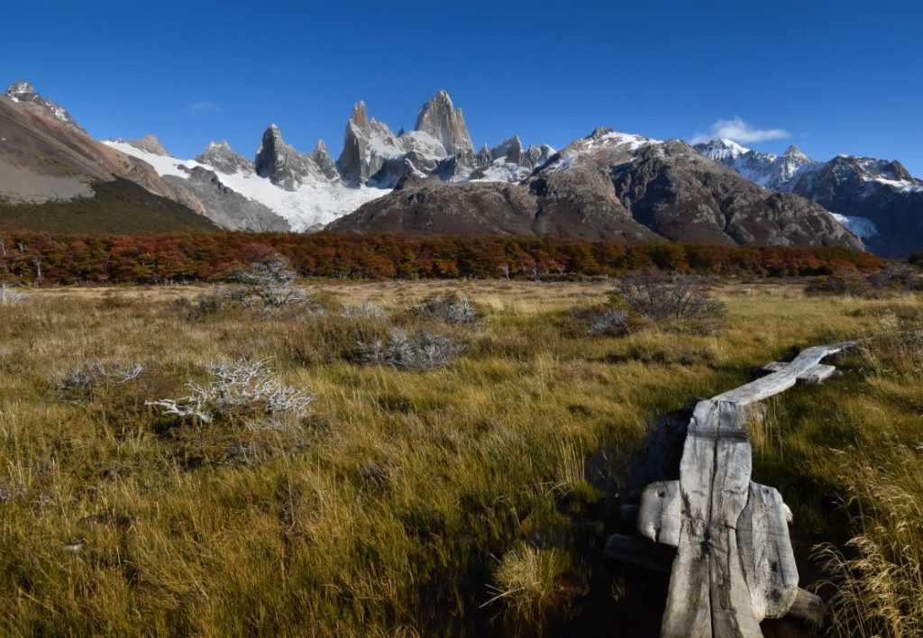 Mountains in the background, and a narrow wooden plank forming a path between vegetation