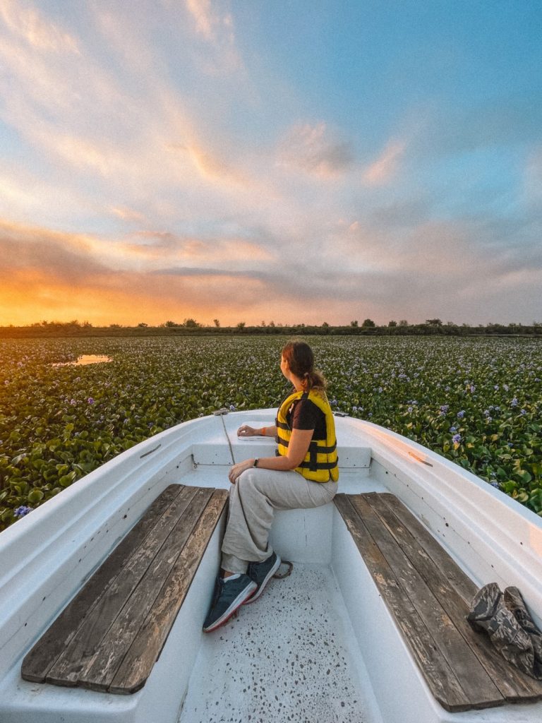 A woman in a boat cruising through wetlands