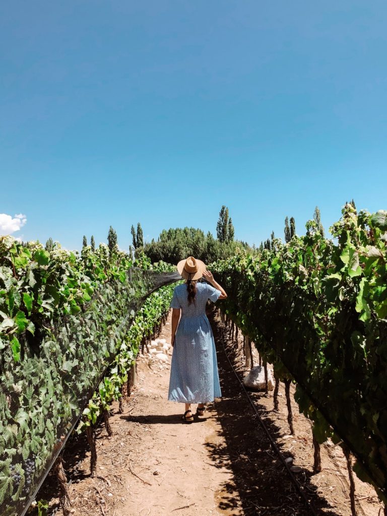 A woman standing between vines