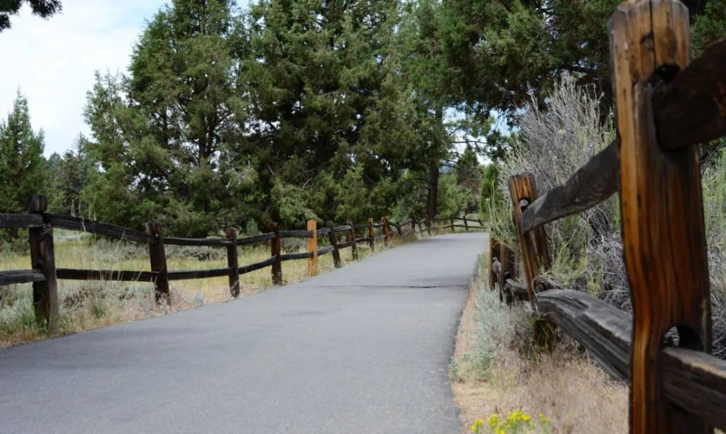 A paved path flanked by wooden fences and trees