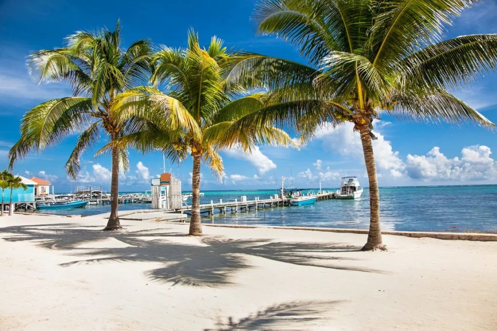 A white-sand beach with palm trees and blue waters, and a white jetty with a boat next to it inserted in a post about how to get to San Pedro, Belize