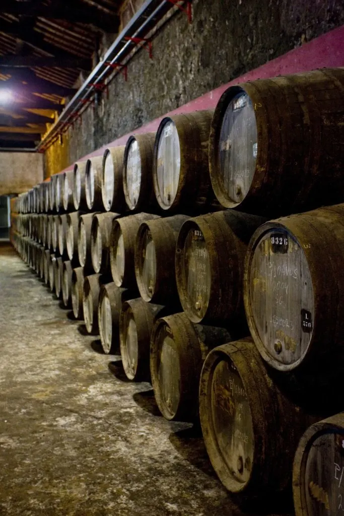 Barrels lined against a wall in a wine cellar 