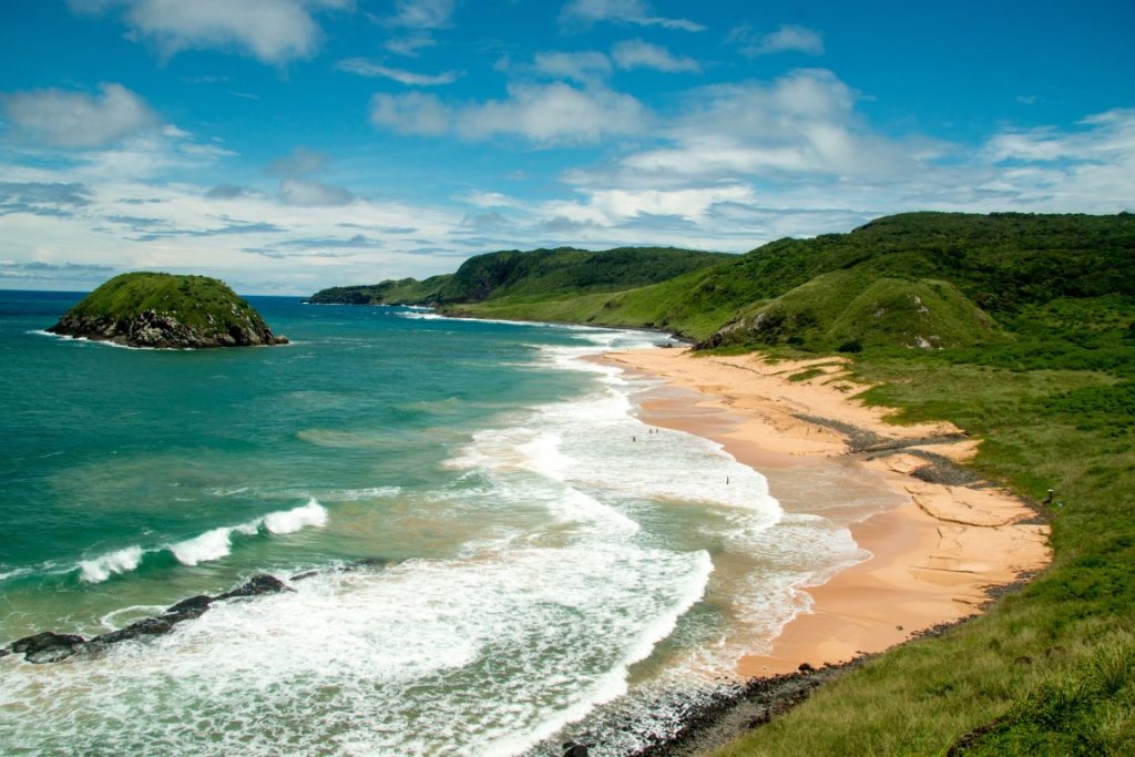 A viewpoint view of a beach fringed by vibrantly green vegetation