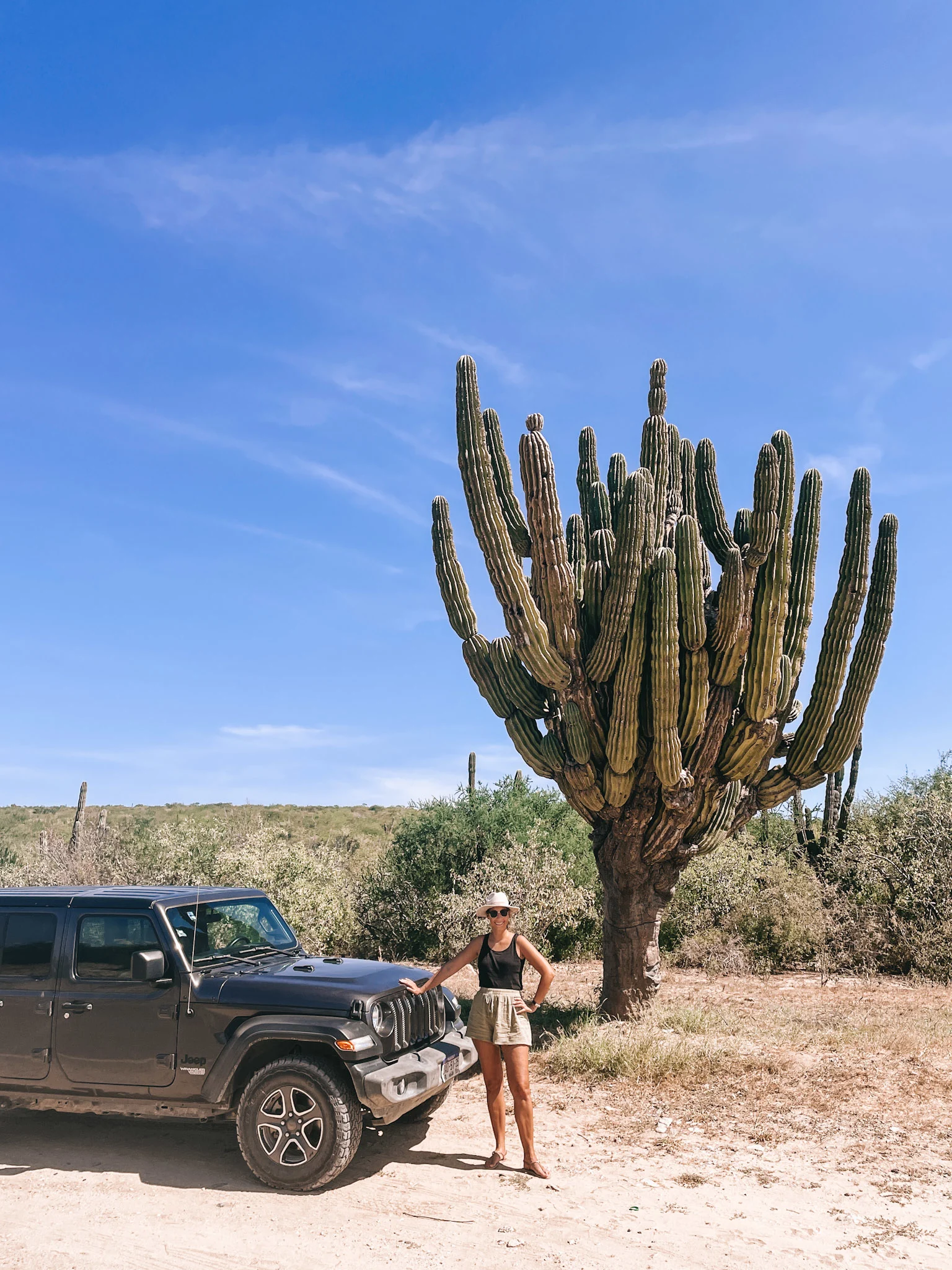 A woman standing next to a jeep, with a large cactus and other vegetation in the background